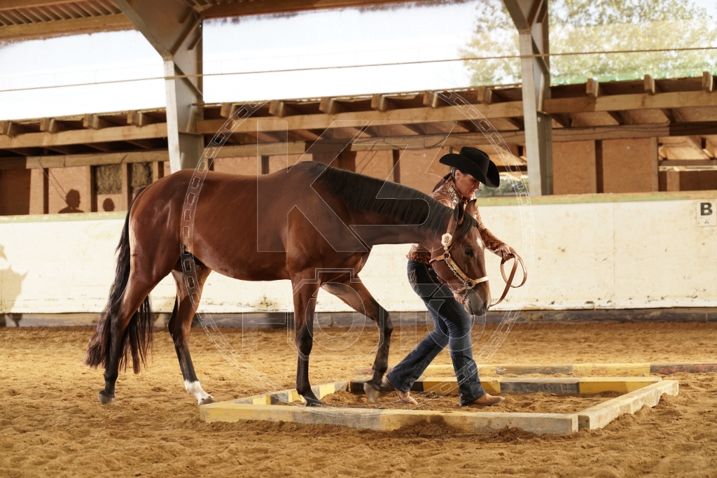s_K3F03311.JPG